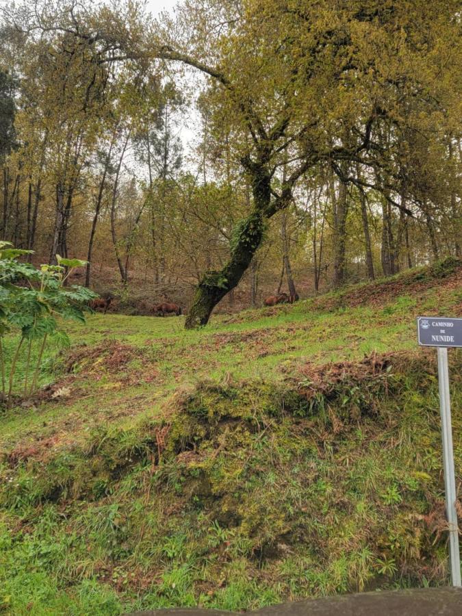 Willa Quinta Da Picouta Arcos de Valdevez Zewnętrze zdjęcie